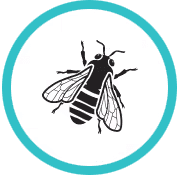Green and white icon for Bee/Wasp Control