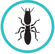 Green and white icon for Termite Control
